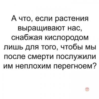 Прикрепленное изображение: 345462293_265957799125229_1526519785252343994_n.jpg